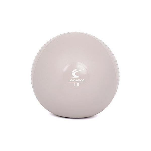  아이워너 소프트 토닝볼 1.5kg 2개입 웨이트볼