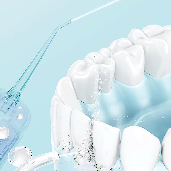  카프 휴대용 구강세정기 치간 세척기 물치실 물양치 팁 4종 KF-DC01