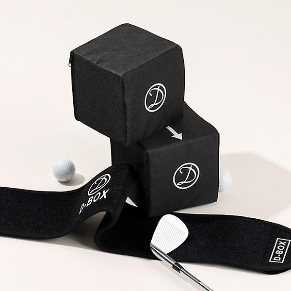  몬자 디박스 스윙자세 교정기