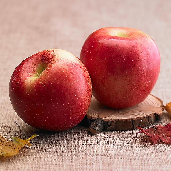  [자연예서] 부사 청송 사과 5kg (11-13과) (명품)