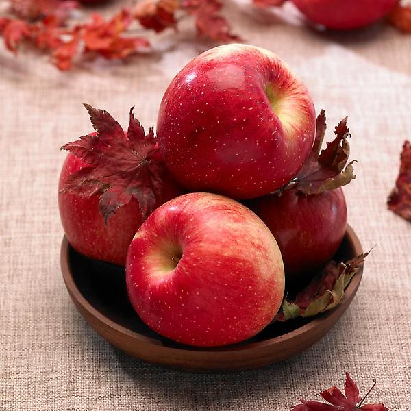  [자연예서] 부사 청송 사과 5kg (11-13과) (명품)