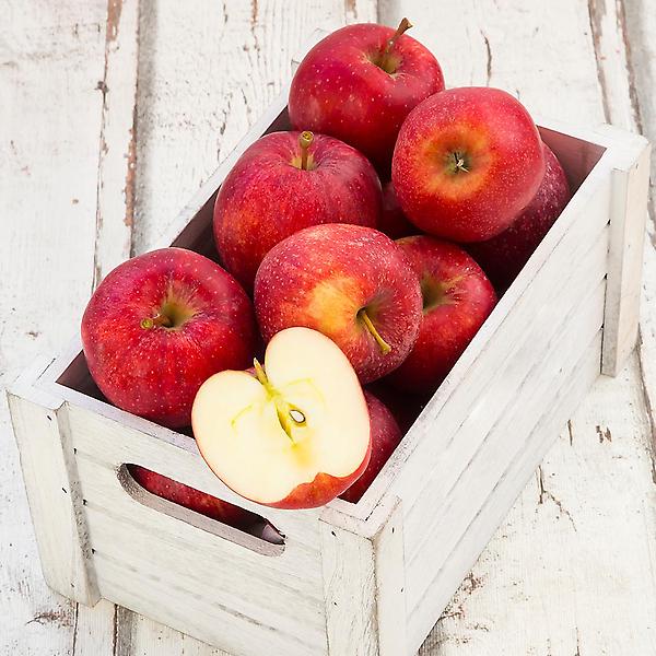  [자연예서] 부사 청송 사과 5kg (14-15과) (명품)