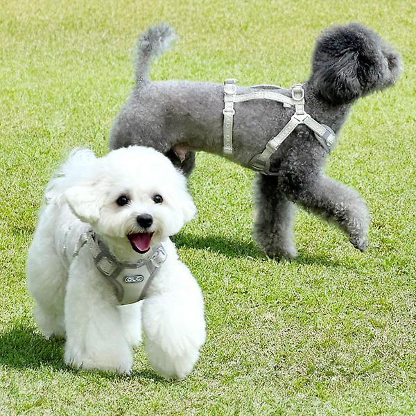  올지 세이프 하네스 강아지 슬개골 리프팅 관절보호 기도압박 없는 h형 산책용 y형 x형 소형견 중형견