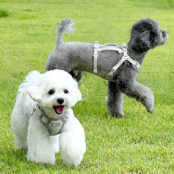  올지 세이프 하네스 강아지 슬개골 리프팅 관절보호 기도압박 없는 h형 산책용 y형 x형 소형견 중형견