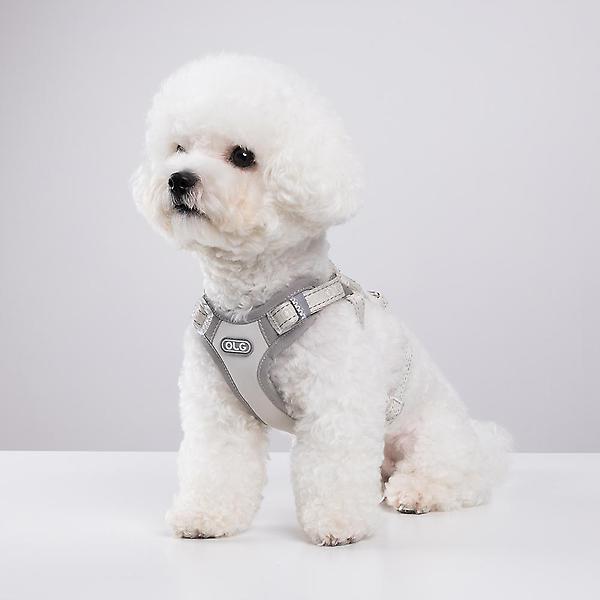  올지 세이프 하네스 강아지 슬개골 리프팅 관절보호 기도압박 없는 h형 산책용 y형 x형 소형견 중형견