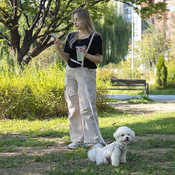  올지 세이프 핸즈프리 리드줄 충격흡수 강아지 산책줄 소형견 중형견 런닝 대형견 리쉬 허리 크로스형