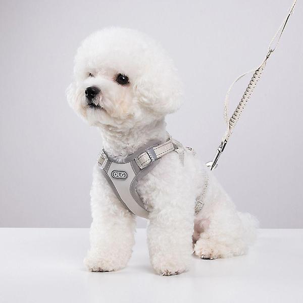  올지 세이프 하네스 리드줄 세트 슬개골 충격흡수 소형견 관절보호 중형견 강아지 애견 반려견 용