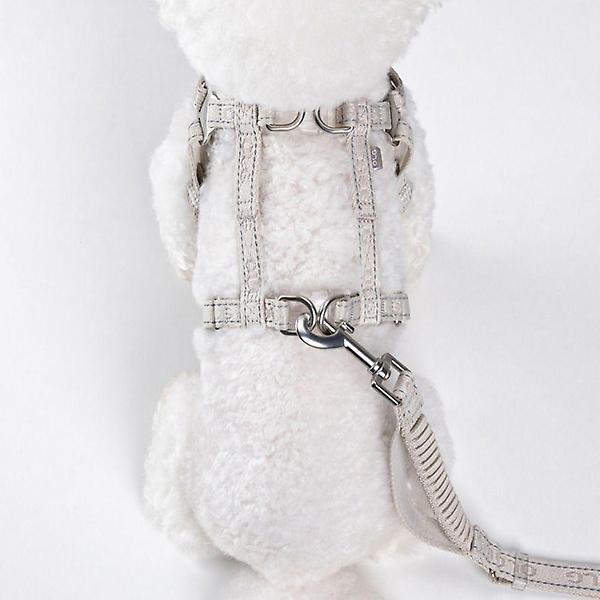  올지 세이프 하네스 리드줄 세트 슬개골 충격흡수 소형견 관절보호 중형견 강아지 애견 반려견 용