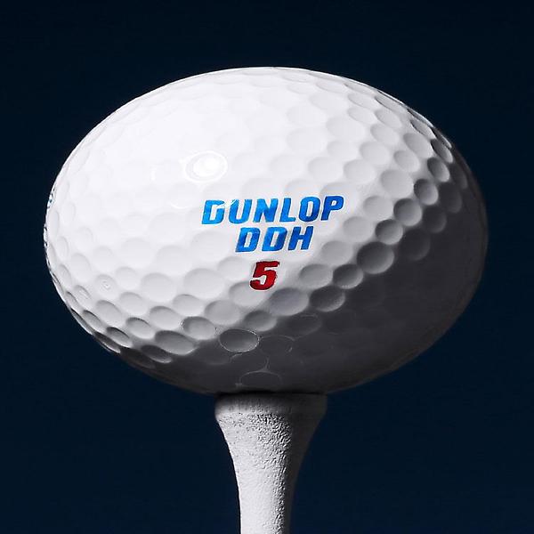  던롭 DDH 로얄블루 투어 15구 골프공