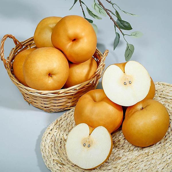  [자연예서] 신고 배 7.5kg(13-15과) (3 가정용)상