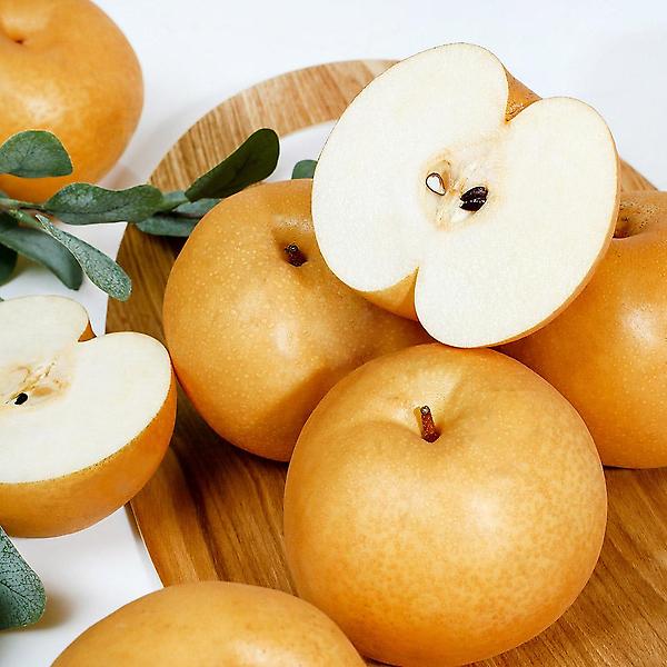  [자연예서] 신고 배 7.5kg(13-15과) (3 가정용)상