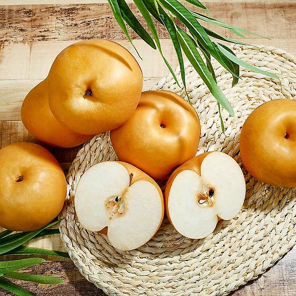  [자연예서] 신고 배 7.5kg(13-15과) (3 가정용)상