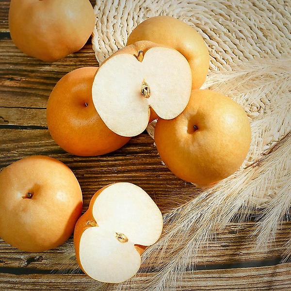  [자연예서] 신고 배 7.5kg(13-15과) (3 가정용)상