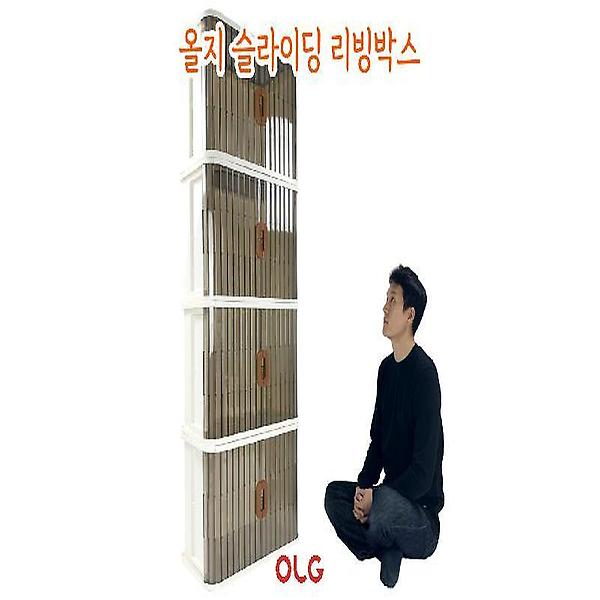  올지 슬라이딩 리빙박스 2개 세트 66리터 투명 플라스틱 옷 장난감 수납함 펜트리 정리함 대형