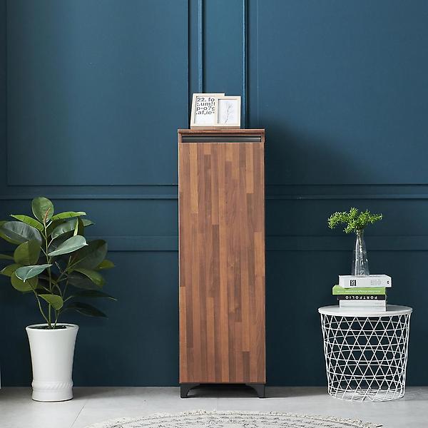  아이앤 레나 LPM 1문 신발장 BR