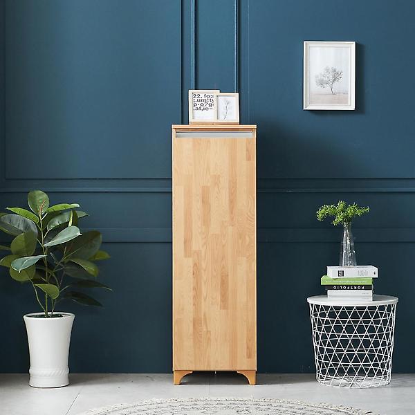  아이앤 레나 LPM 1문 신발장 BR