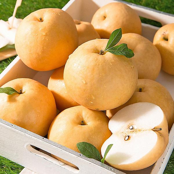  [자연예서] 신고 배 15kg(13-20과) (2특)