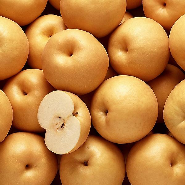  [자연예서] 신고 배 15kg(13-20과) (2특)