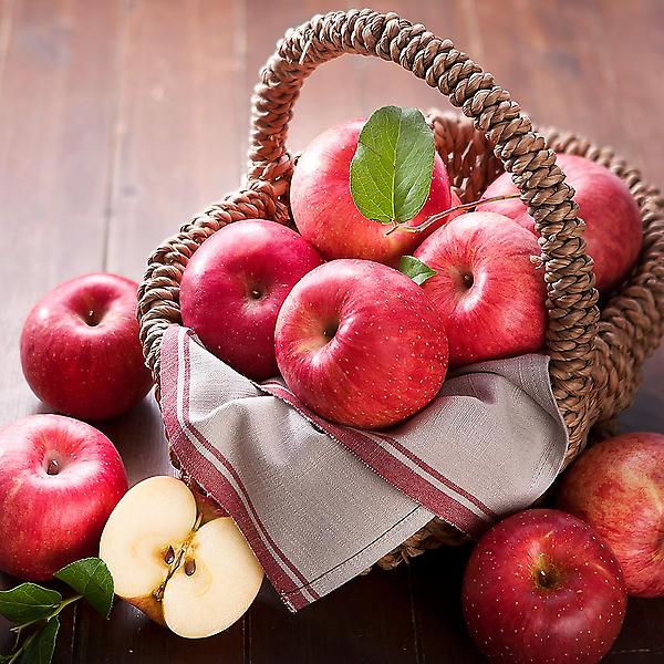  [자연예서] 부사 청송 사과 5kg (18-20과) (명품)