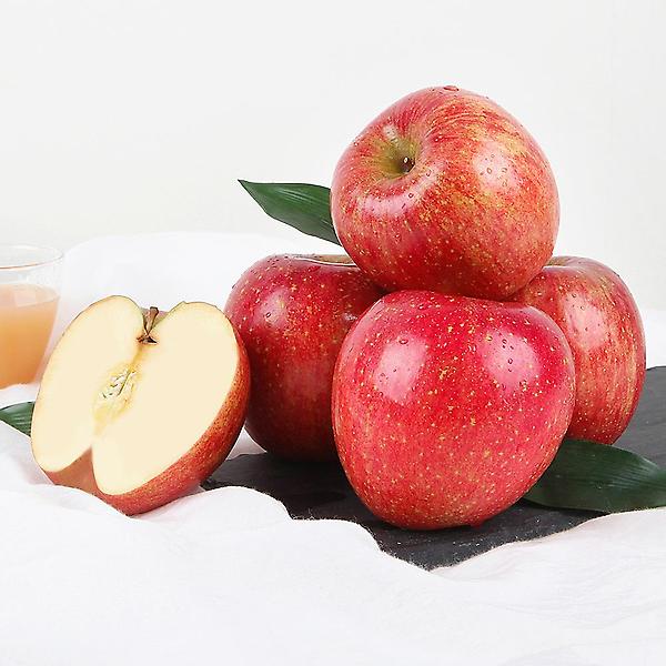  [자연예서] 부사 청송 사과 5kg (18-20과) (명품)