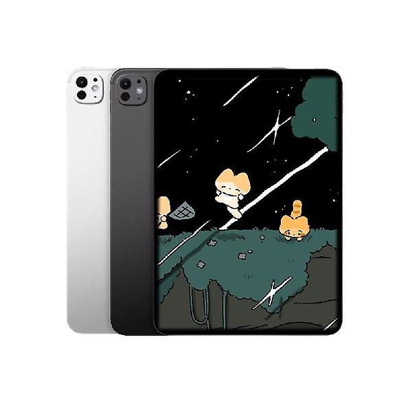  애플 아이패드 프로 13 M4 WIFI 256G 스페이스 블랙