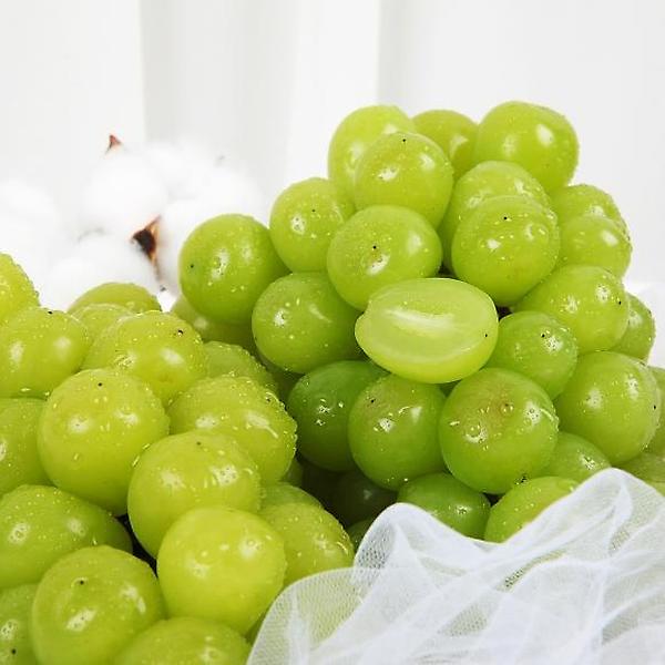 [자연예서] 샤인머스캣 2kg(3수)