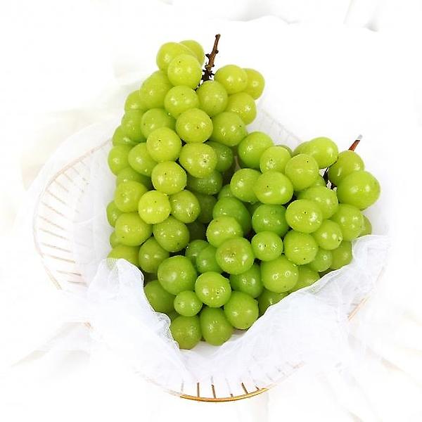  [자연예서] 샤인머스캣 2kg(2수)