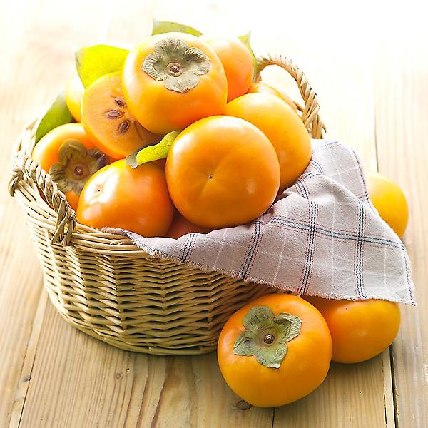  [고랑몰라] 햇단감 5kg 명품대(16과 내외)