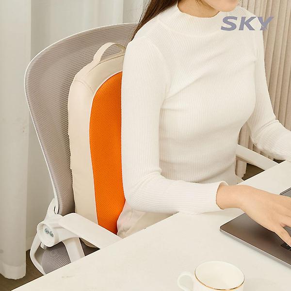  스카이 케어 등 허리 온열 롤링 쿠션 마사지기