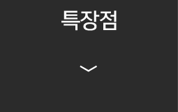 특장점